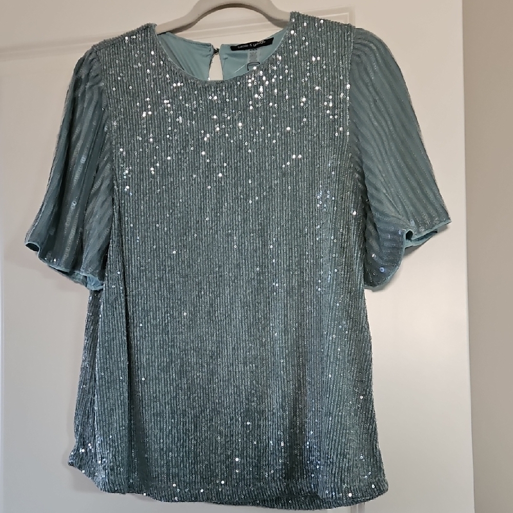 Iridescent Sage Green Blouse